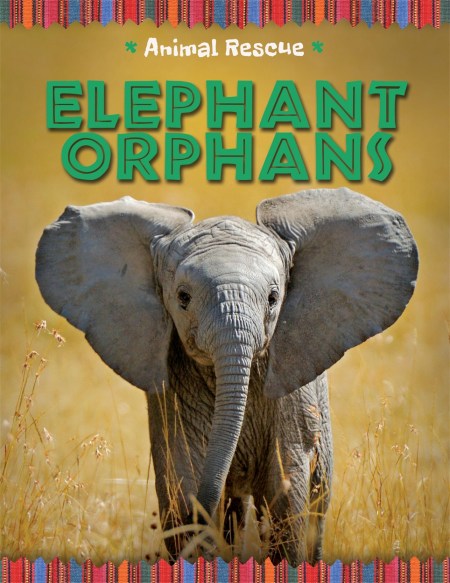 Animal Rescue: Elephant Orphans