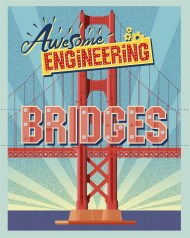 Awesome Engineering: Bridges