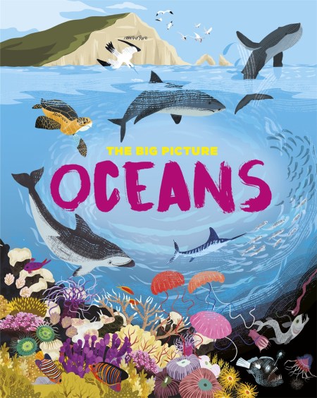 The Big Picture: Oceans