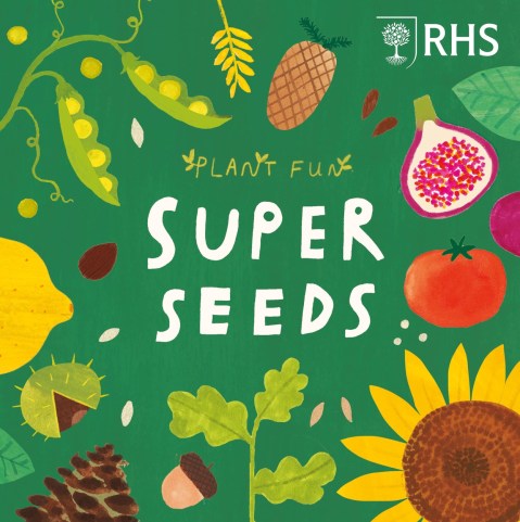 Plant Fun: Super Seeds